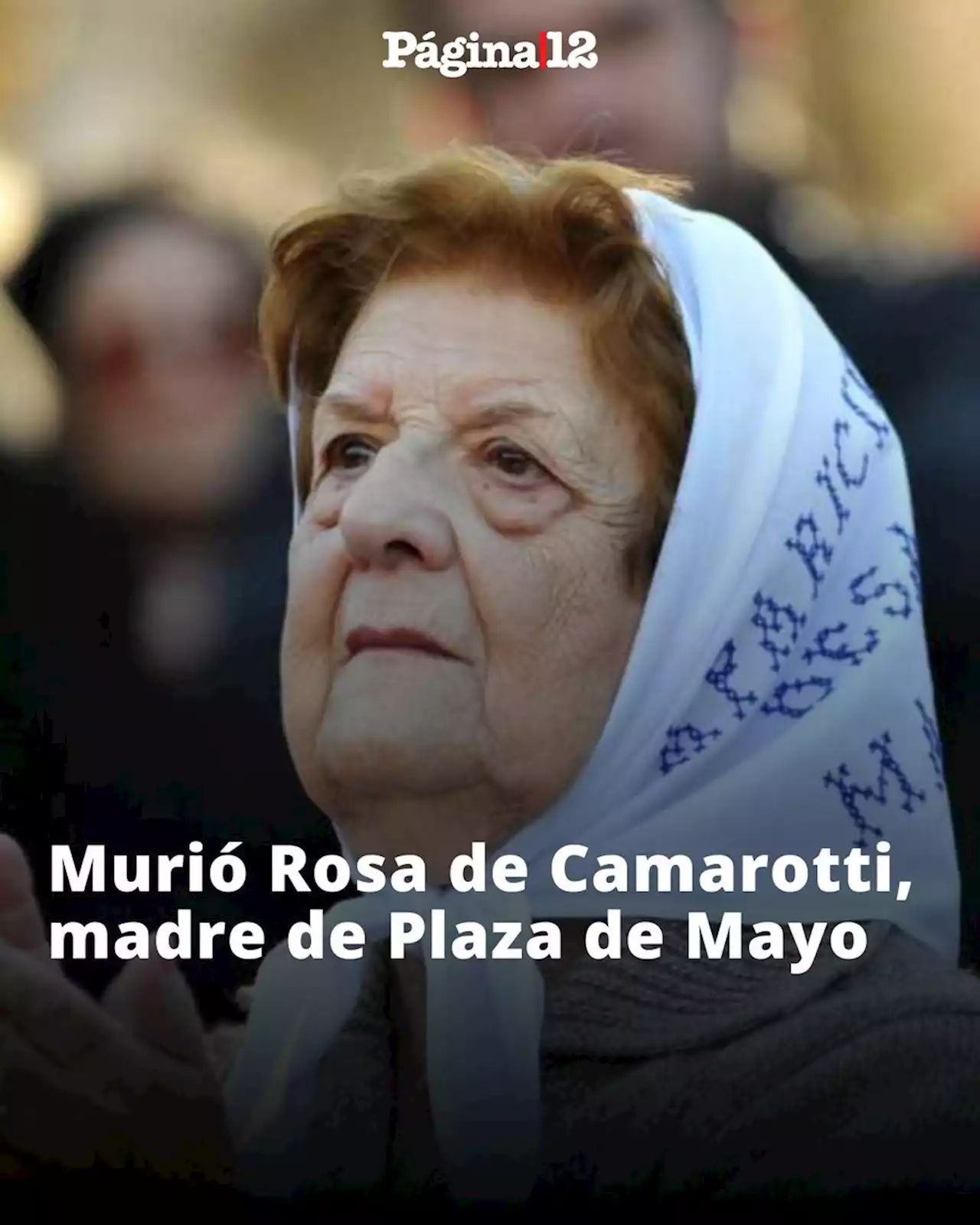 Murió Rosa de Camarotti, madre de Plaza de Mayo | Tenía 94 años