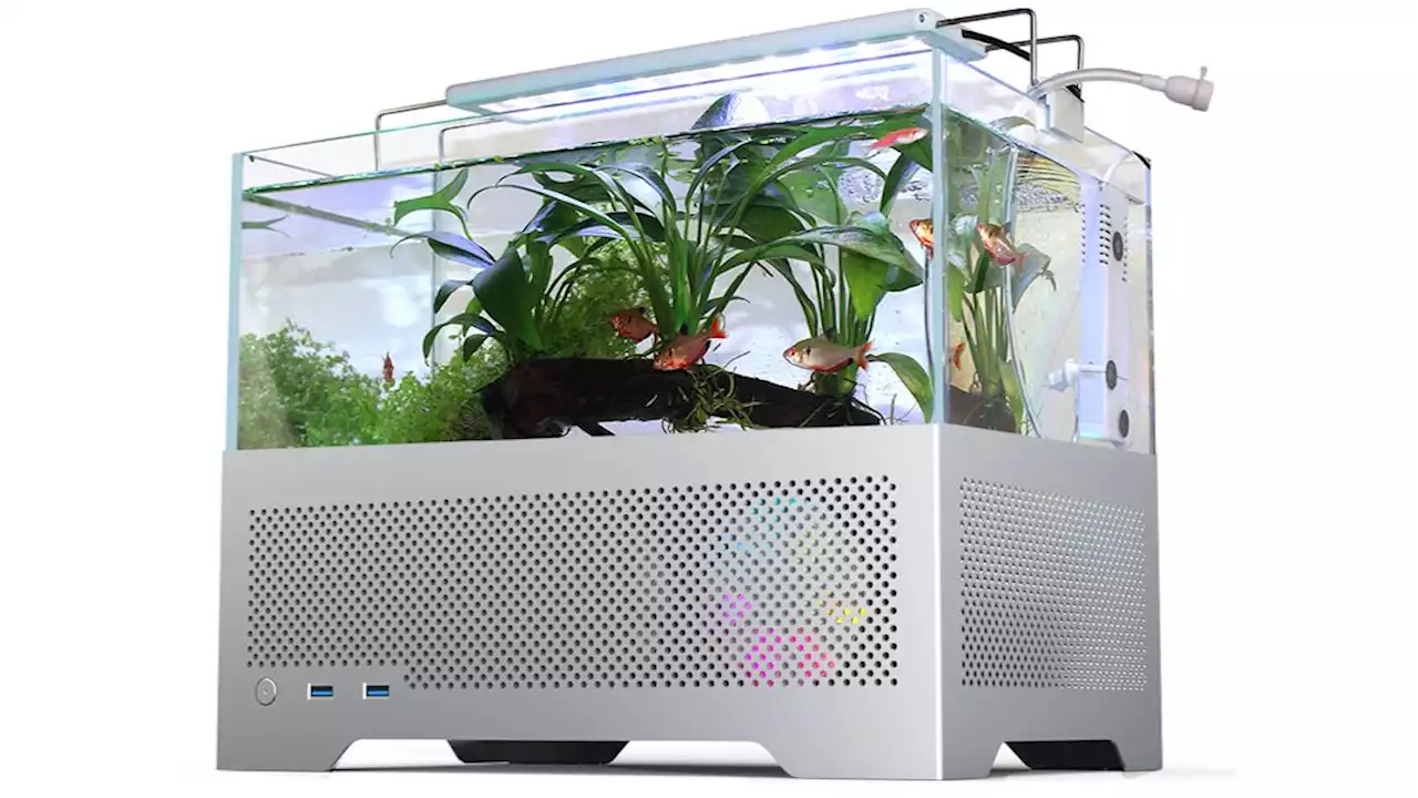 I know it's a bad idea, but I want this PC gaming fish tank