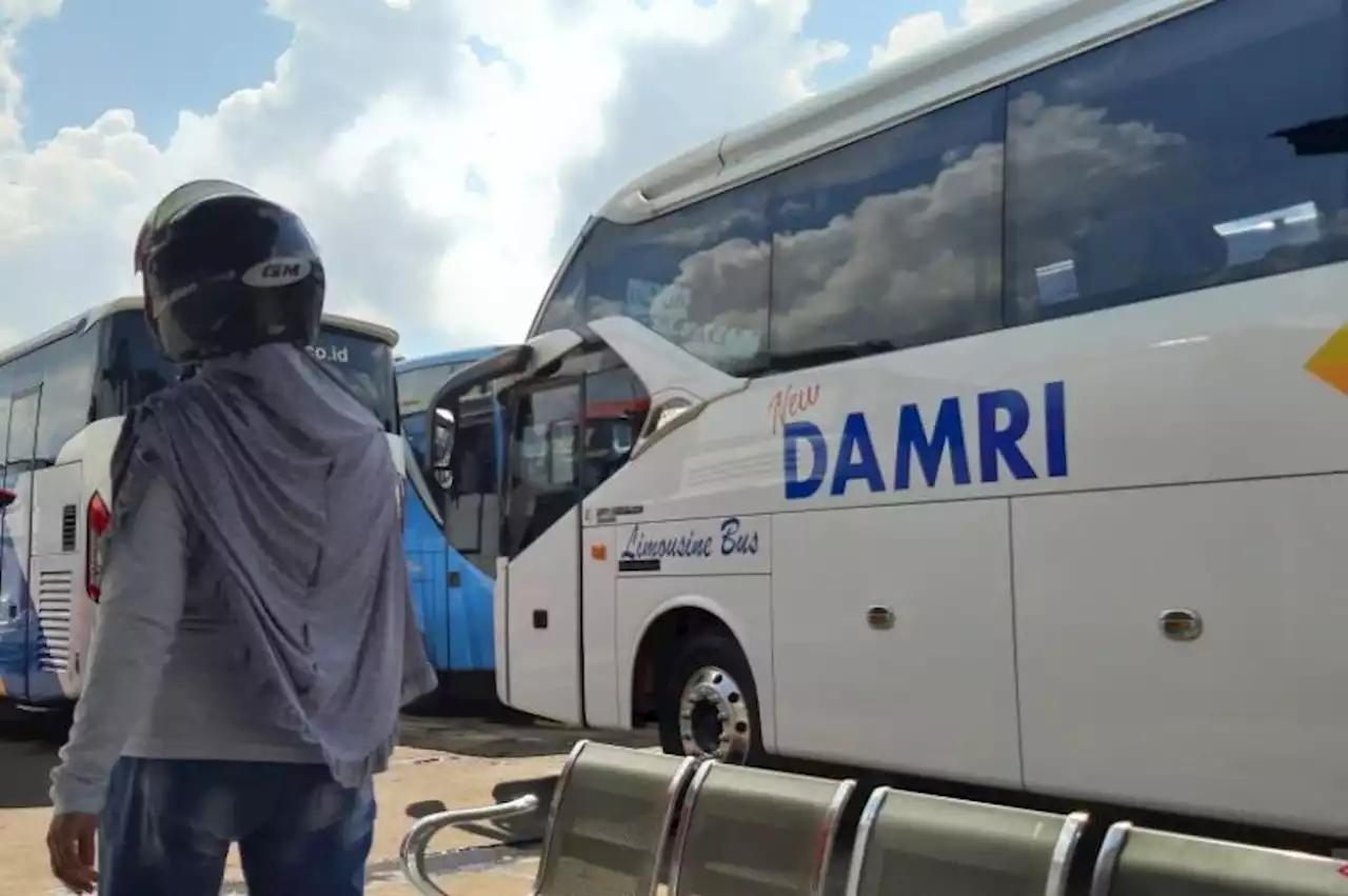 Bus Damri Jadi Sasaran Pelemparan Batu di Jalan Tol Trans Sumatera |Republika Online