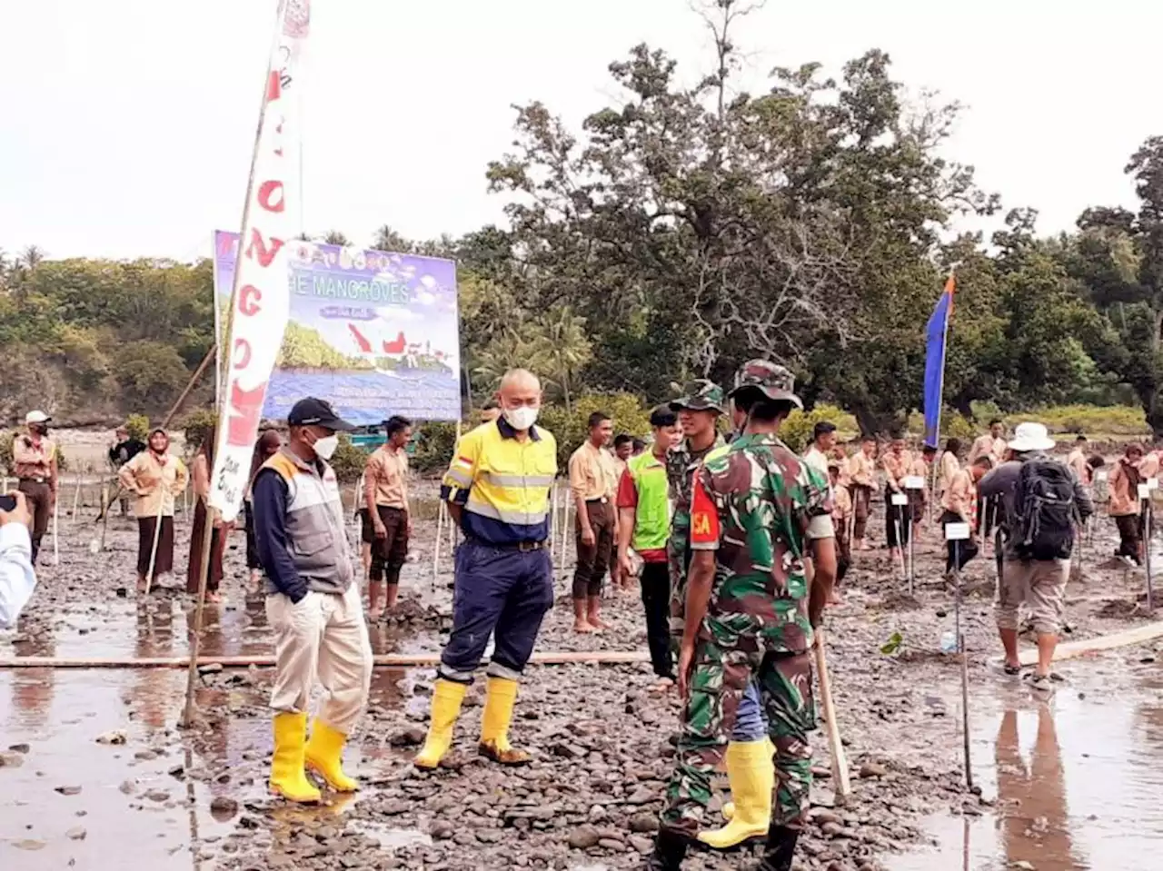 Peringati Hari Mangrove Sedunia, Rumah Zakat Action Gandeng Forkopimda Tanam Ribuan Pohon |Republika Online