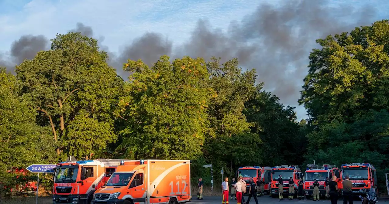 Nach Explosion: Feuer im Grunewald breitet sich unkontrolliert aus – Munition erschwert Einsatz