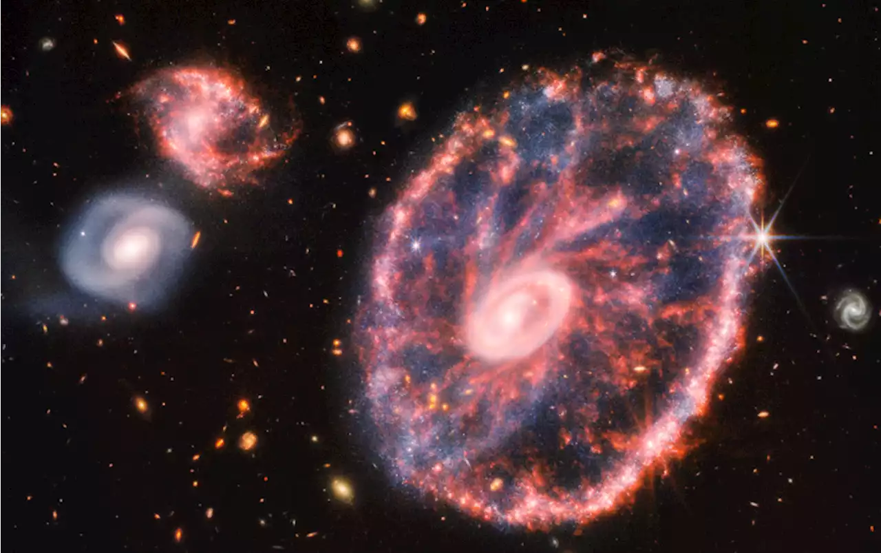 The Webb Telescope Captures a Stunning View of the Cartwheel Galaxy