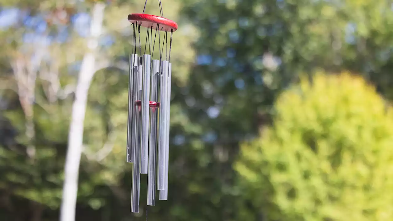 The Windchime experiment could use gravity to hunt for dark matter ‘wind’