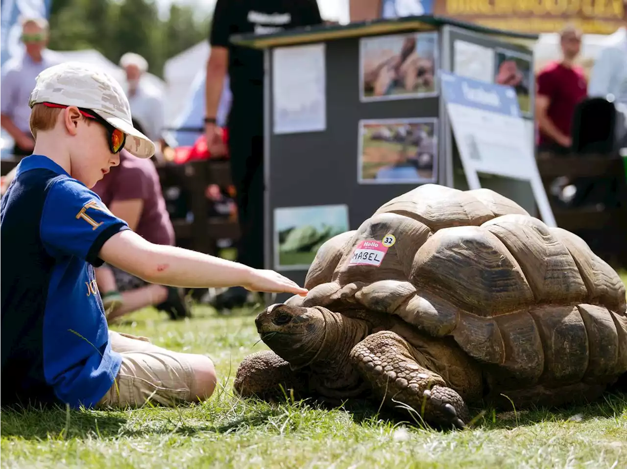 Sun brings out bumper crowds as Burwarton Show returns