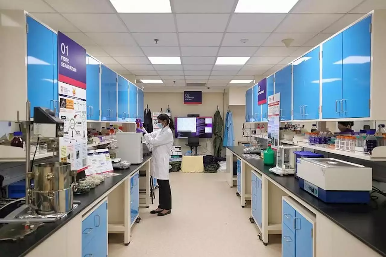 New textile research centre launched to develop recycling techniques for new textile recycling plant here in 2024
