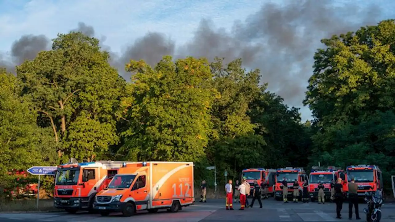 Großbrand im Berliner Grunewald – Avus gesperrt, Zugverkehr gestoppt