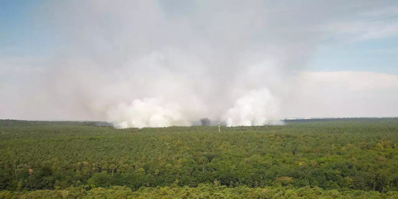 Waldbrand am Sprengplatz Grunewald: Standort schon lange in der Kritik