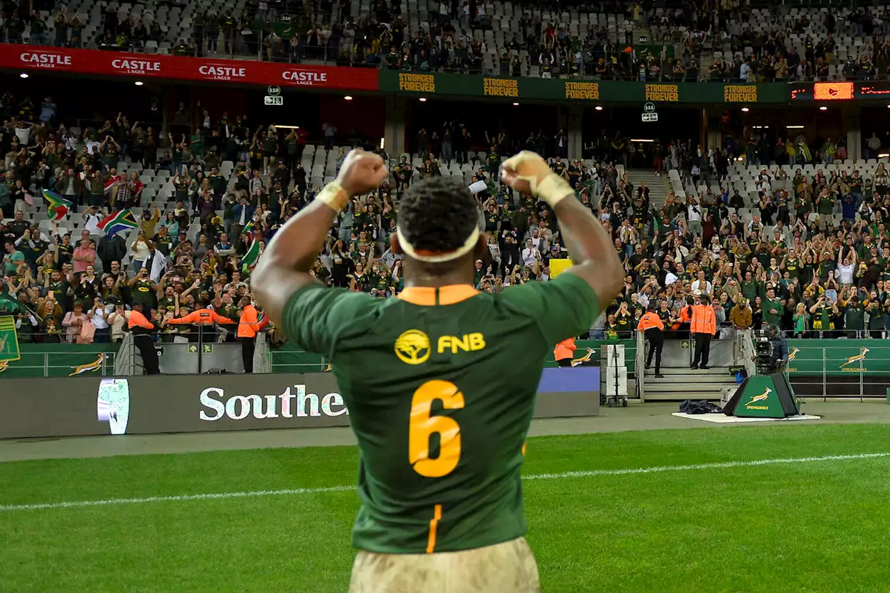 Rugby Championship focus: South Africa | The Citizen