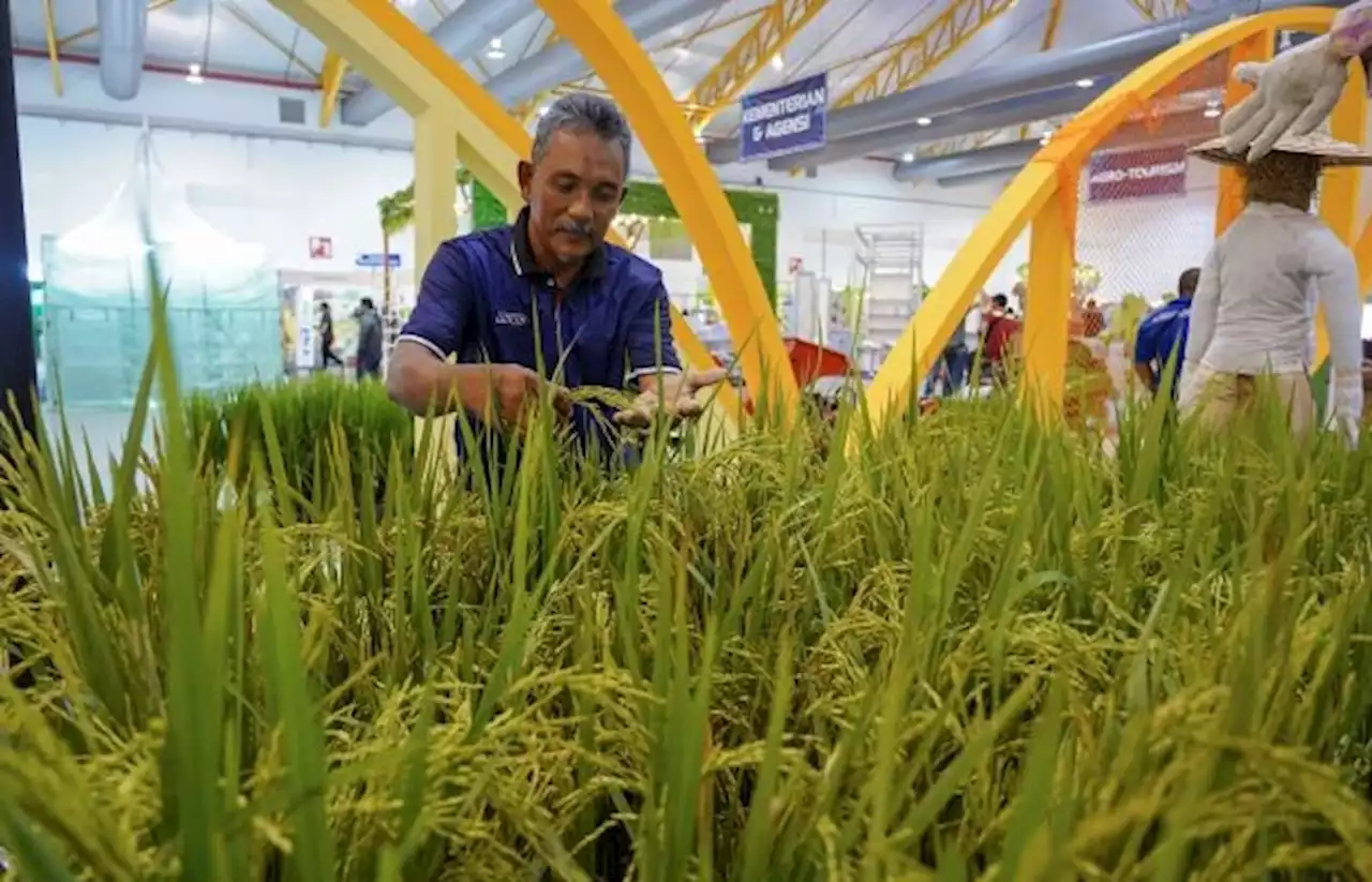 MAHA 2022 tampil kluster baharu Agro Edutainment