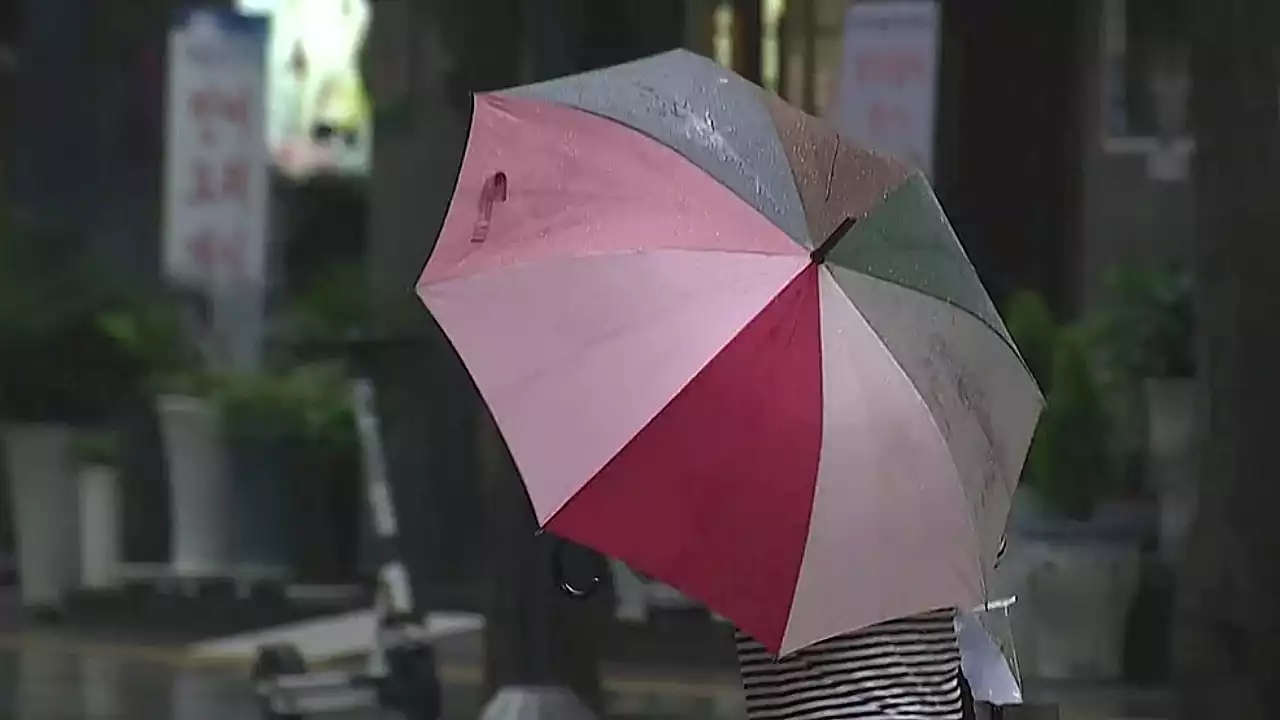 [날씨] 전국 곳곳 소나기...한낮 찜통더위 대구 37도