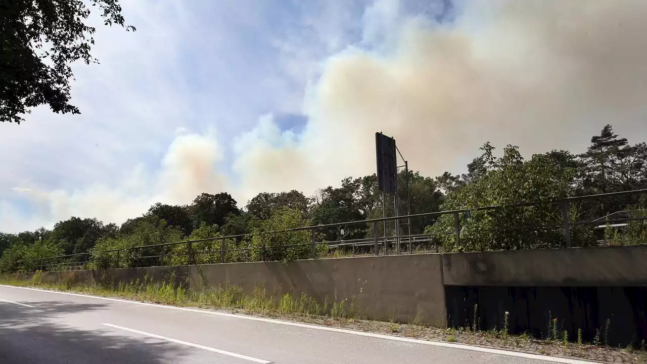 Großbrand: Warum im Grunewald Tonnen an Sprengstoff lagern