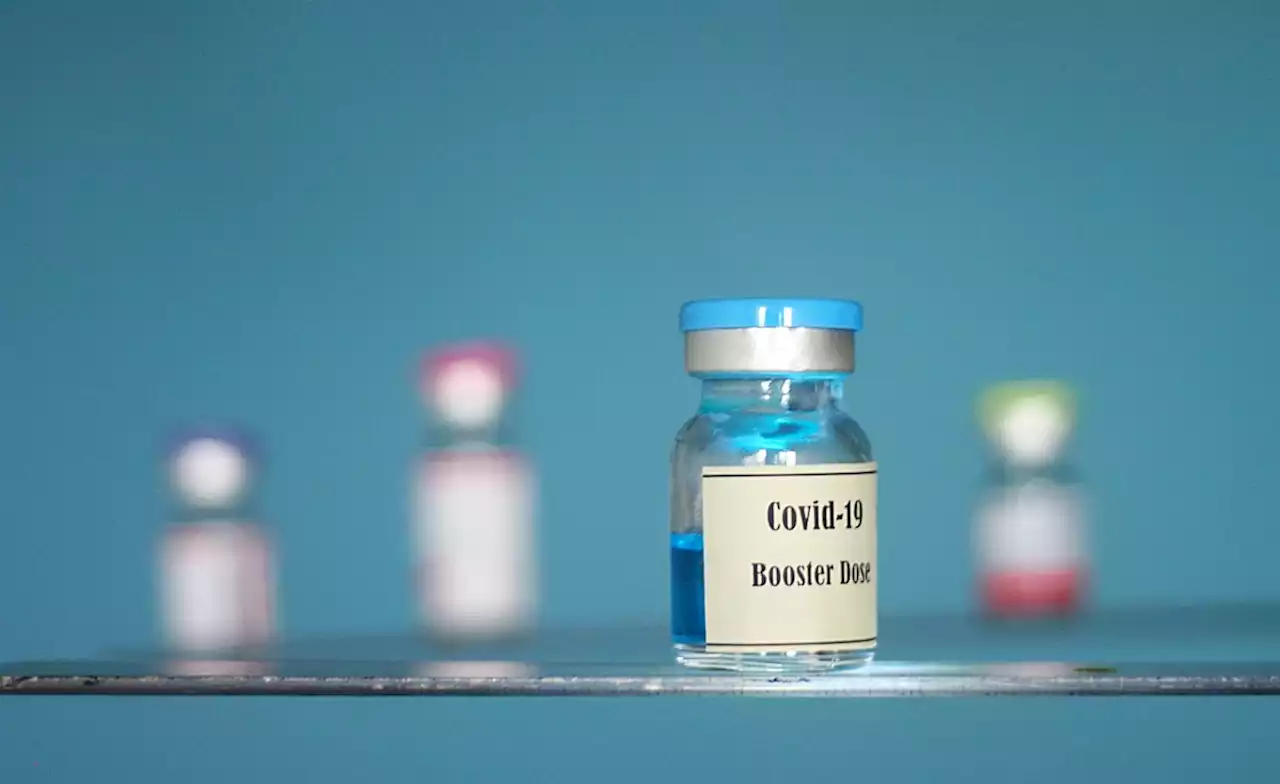 Africa: Covid-19 Vaccine Uptake 'Rising in Africa'