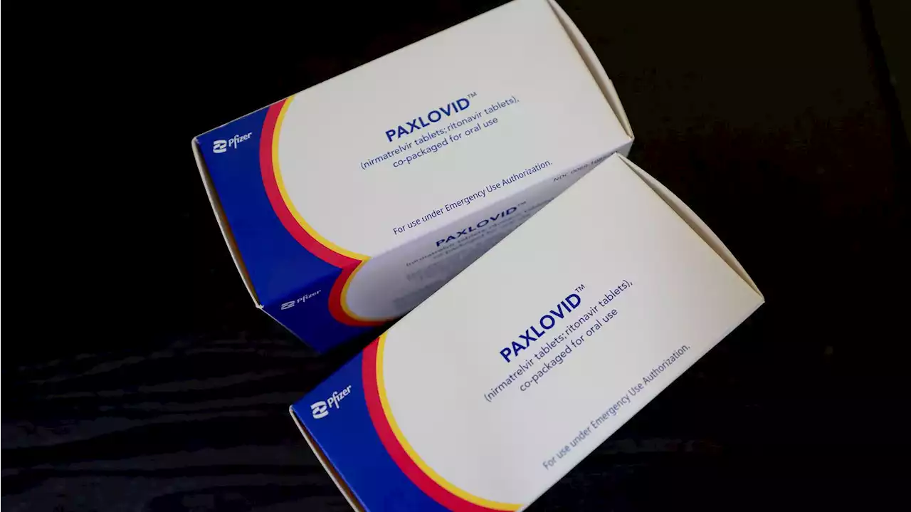 Exclusive: Over 1 million courses of Paxlovid prescribed in one month for first time