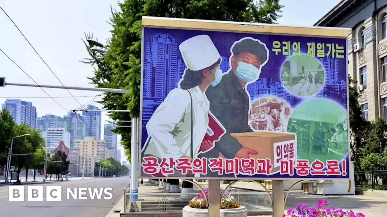 Covid-19: North Korea claims to have recovered from outbreak