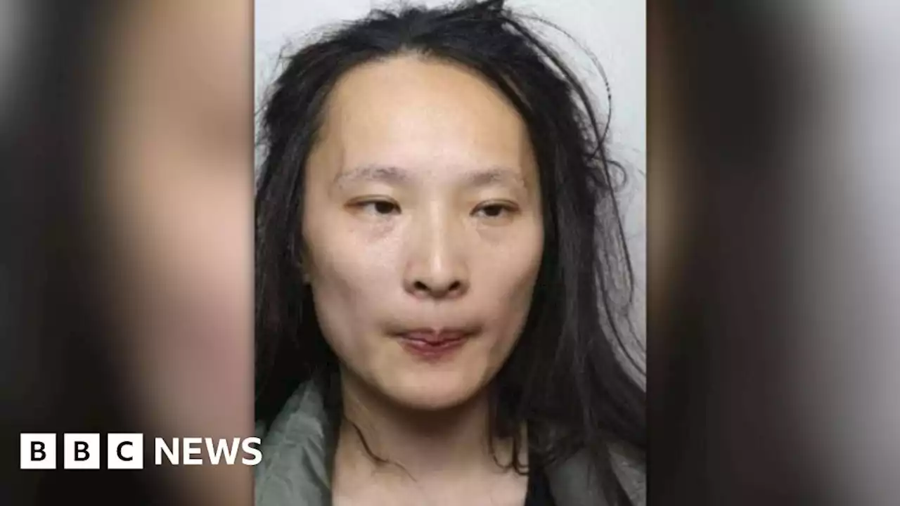 Sheffield Chinese student attacks: Woman jailed for 18 months