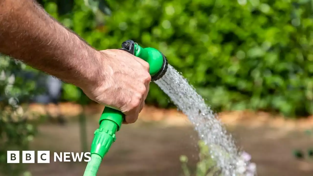 Hosepipe ban set to begin in Hampshire and Isle of Wight