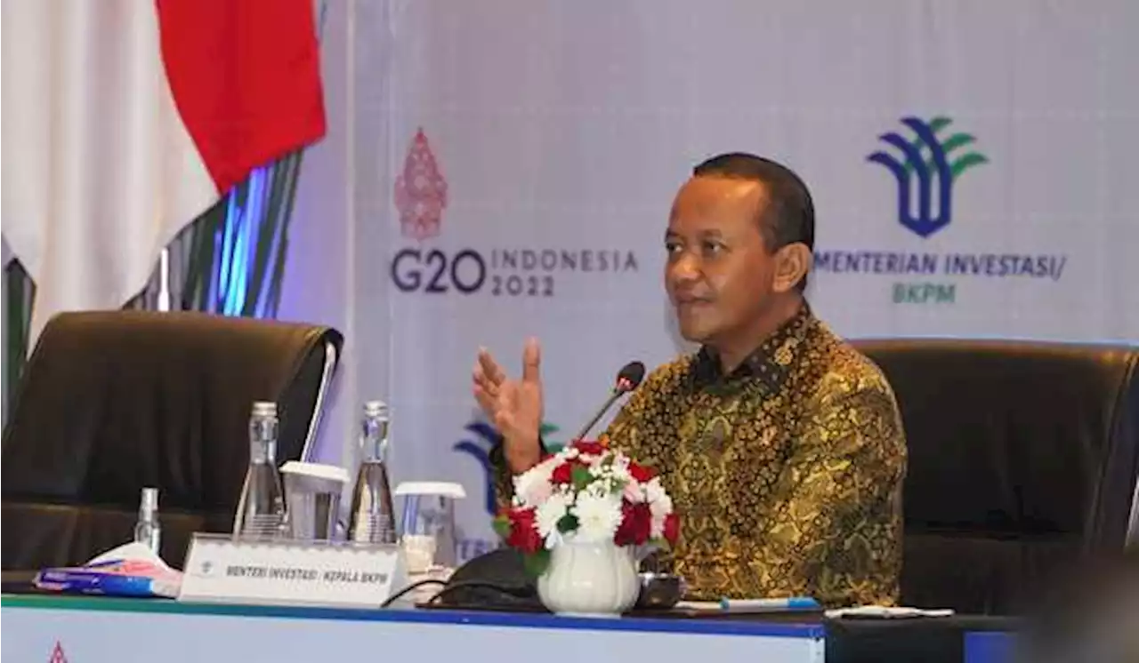 Bahil Siapkan Peta Peluang Investasi di 13 Provinsi