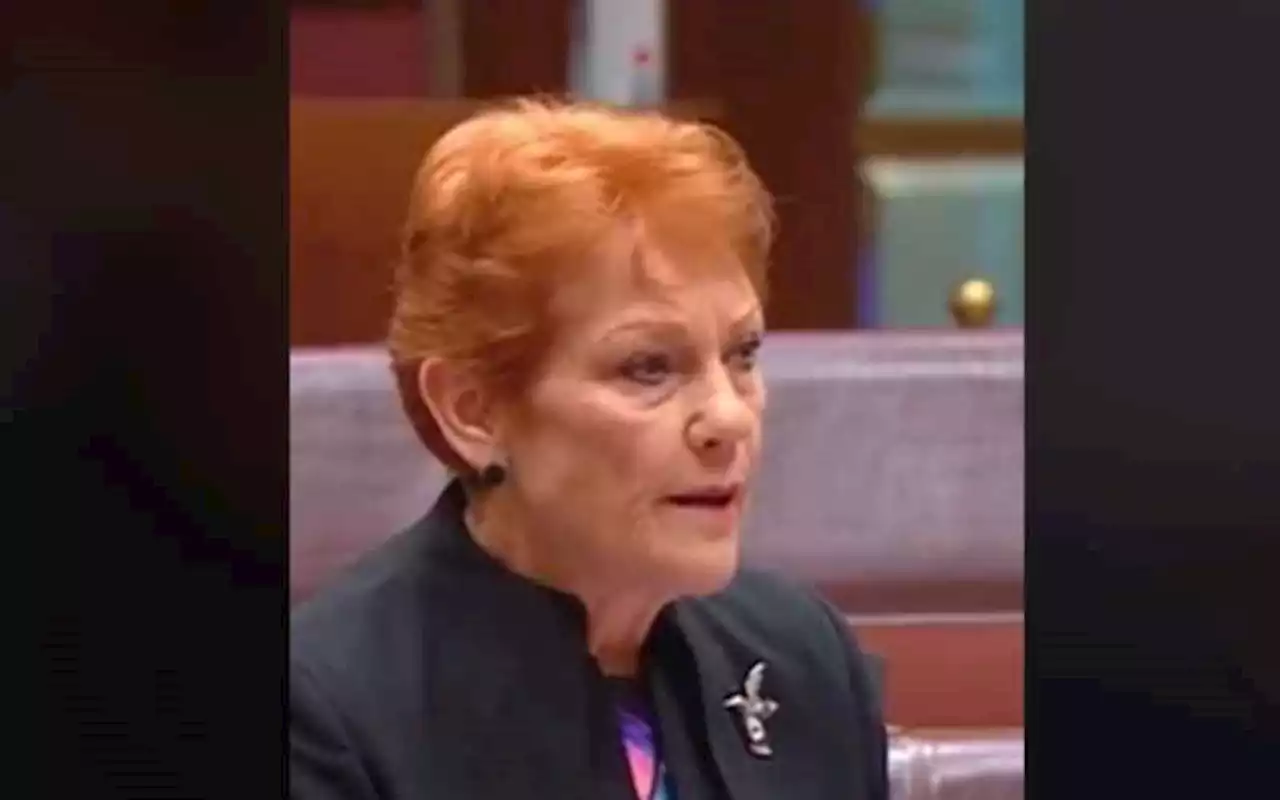 Merujuk Virus PMK, Senator Pauline Hanson Klaim Turis Australia Bawa Pulang 'Kotoran Sapi' dari Bali