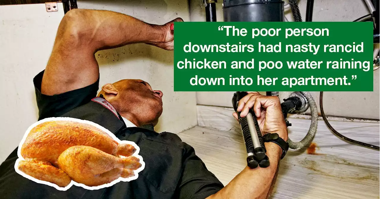 14 Wild Clogged Pipe Plumber Stories That Both Intrigue And Disgust Me