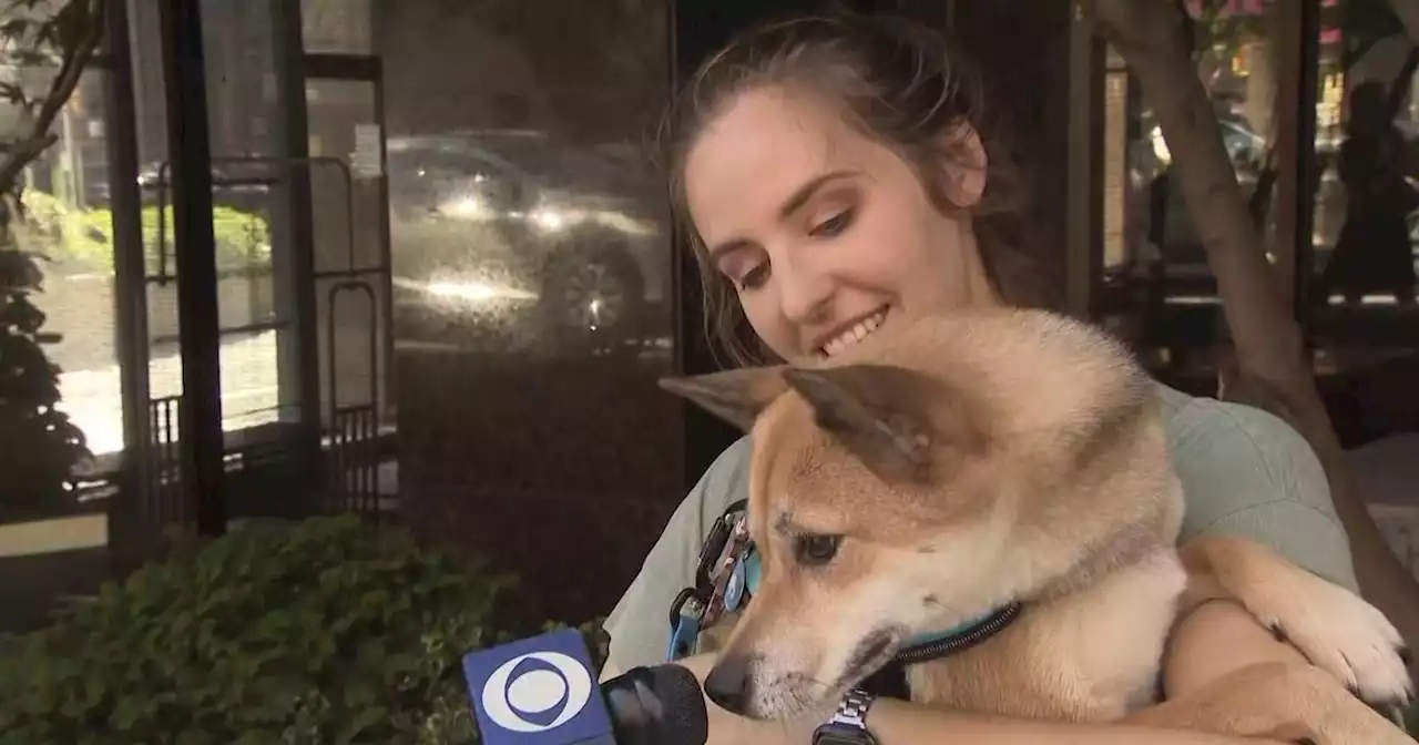 Homeless man helps reunite woman with missing dog that escaped from Upper East Side groomers