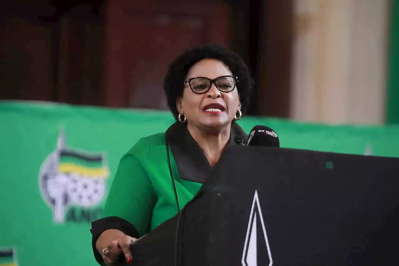 Why Mokonyane’s cynical antics on zama zamas are offensive | Citypress