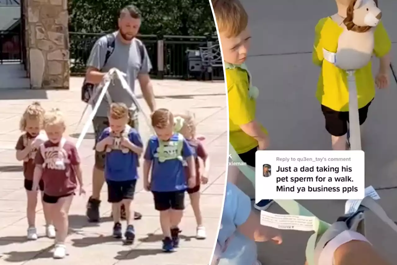 Dad divides social media for for using leash to take his quintuplets, 5, for a walk