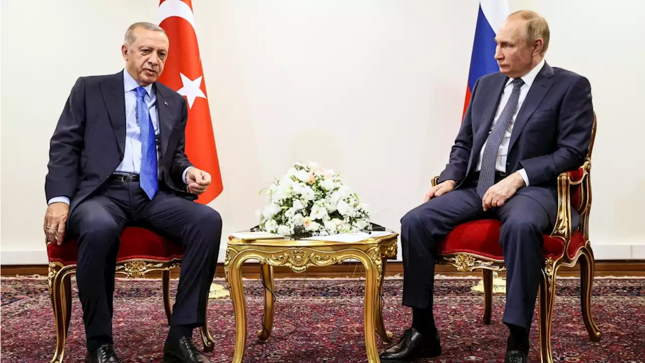 Ukraine, Syria expected to top Erdogan-Putin talks in Russia