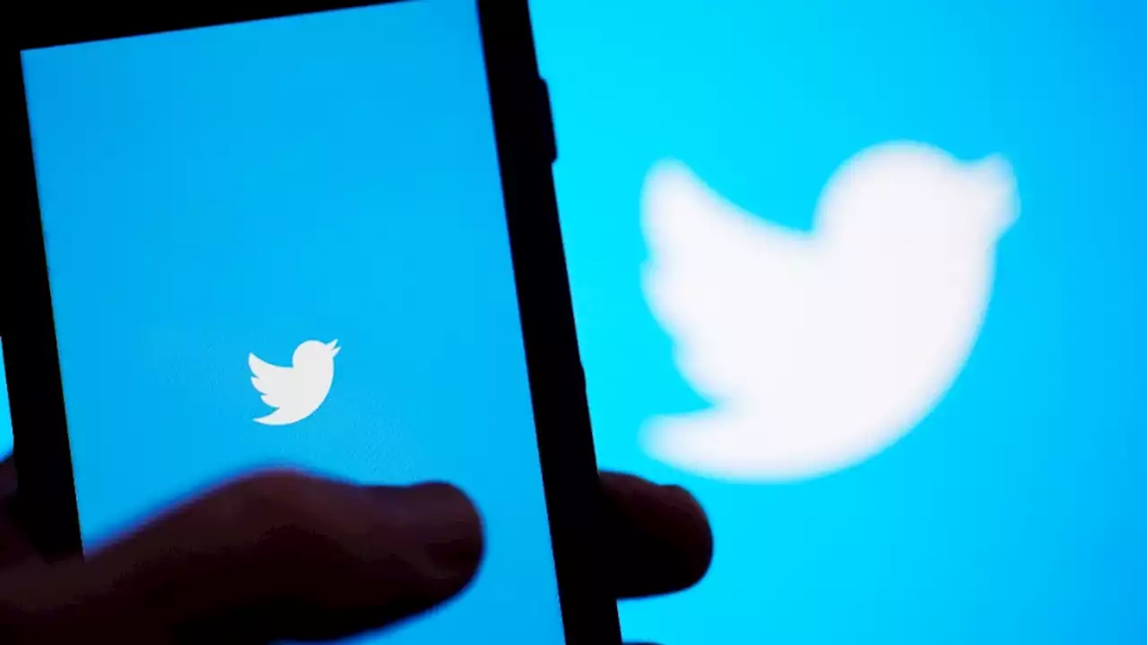 Musk countersuit accuses Twitter of fraud: reports