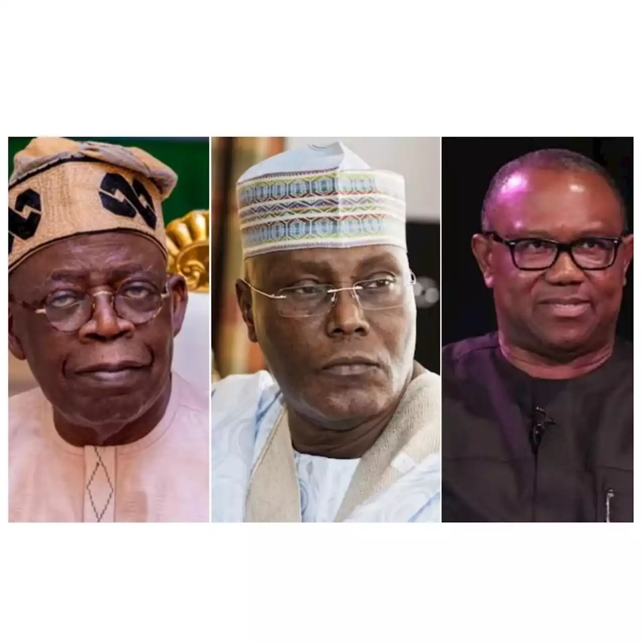 Atiku, Tinubu dividing Nigerians like Buhari - Peter Obi group