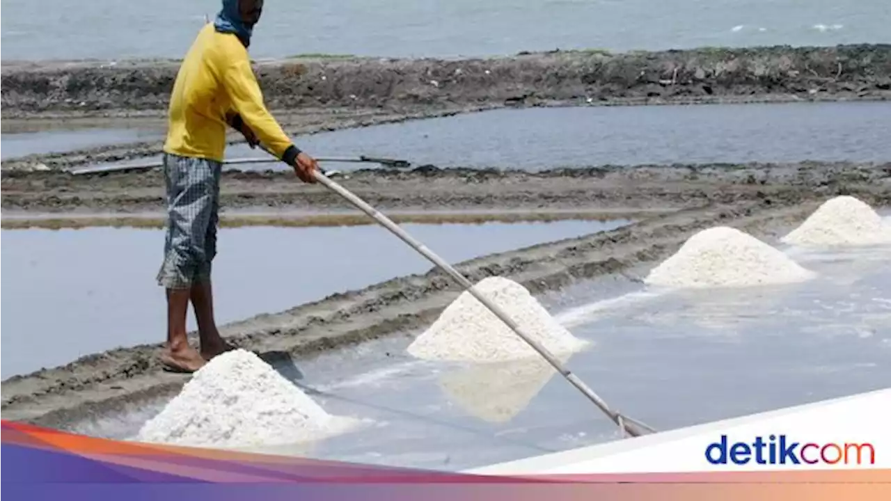 Target Serapan Garam Petani Lokal RI Masih Jauh Panggang dari Api