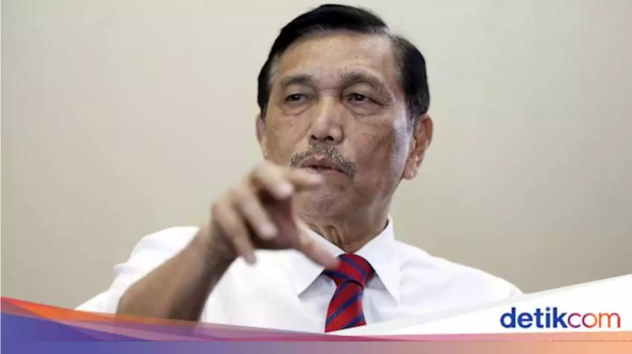 Luhut Ungkap 4 Juta Ha Kebun Kelapa Sawit Tidak Jelas Statusnya