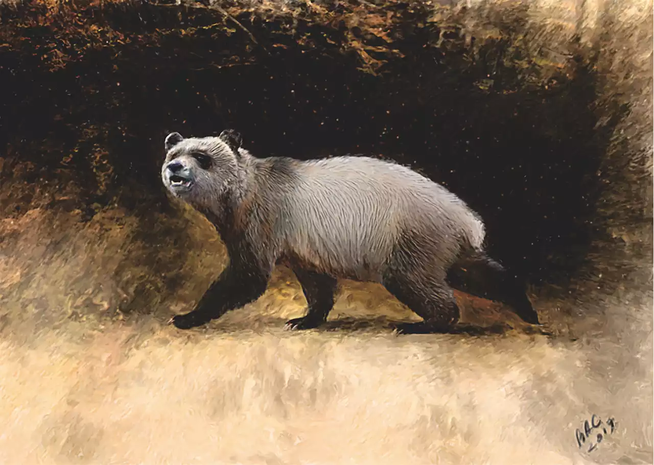 Scientists Find Ancient Panda Species in Europe