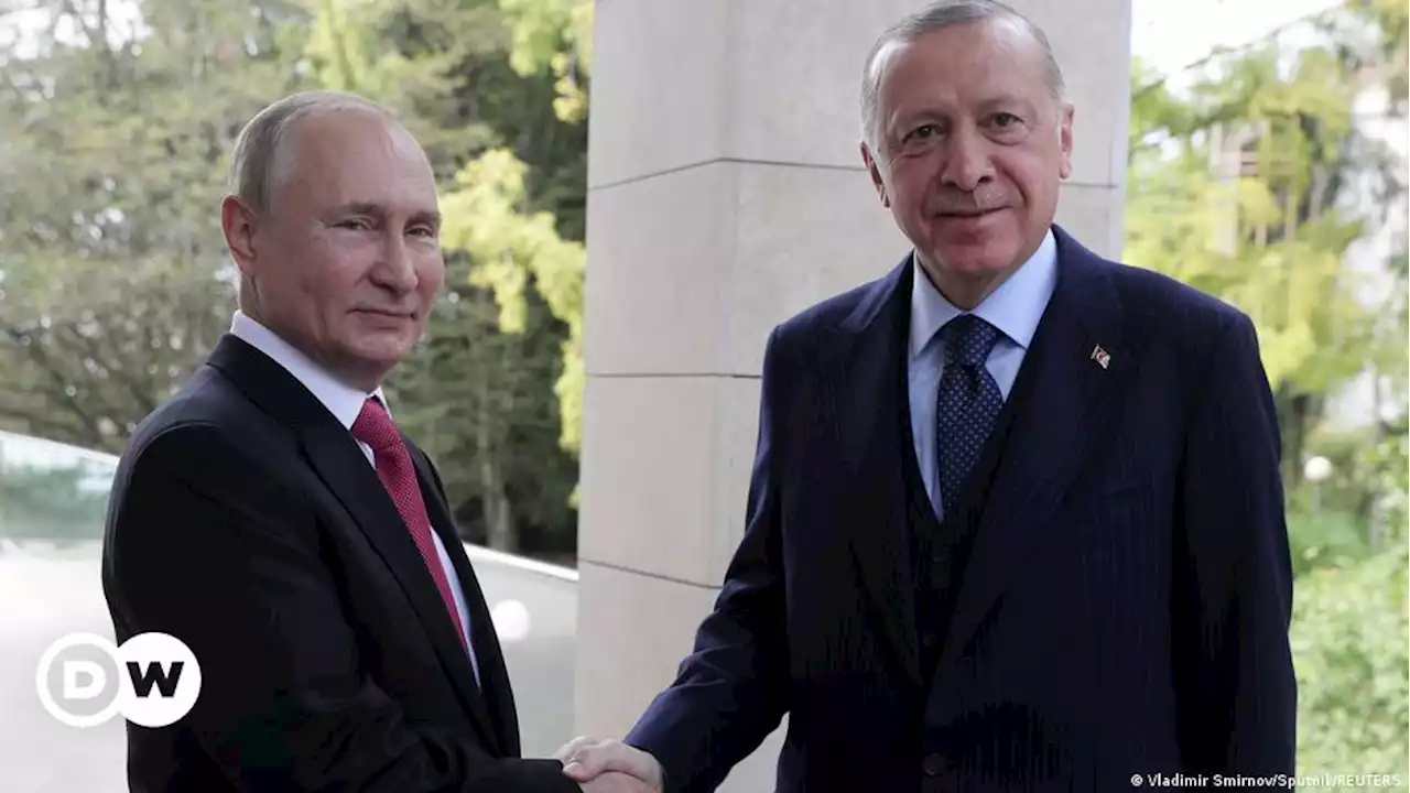 Секрет Эрдогана. Эксперт о том, как Турция выигрывает от войны в Украине | DW | 04.08.2022