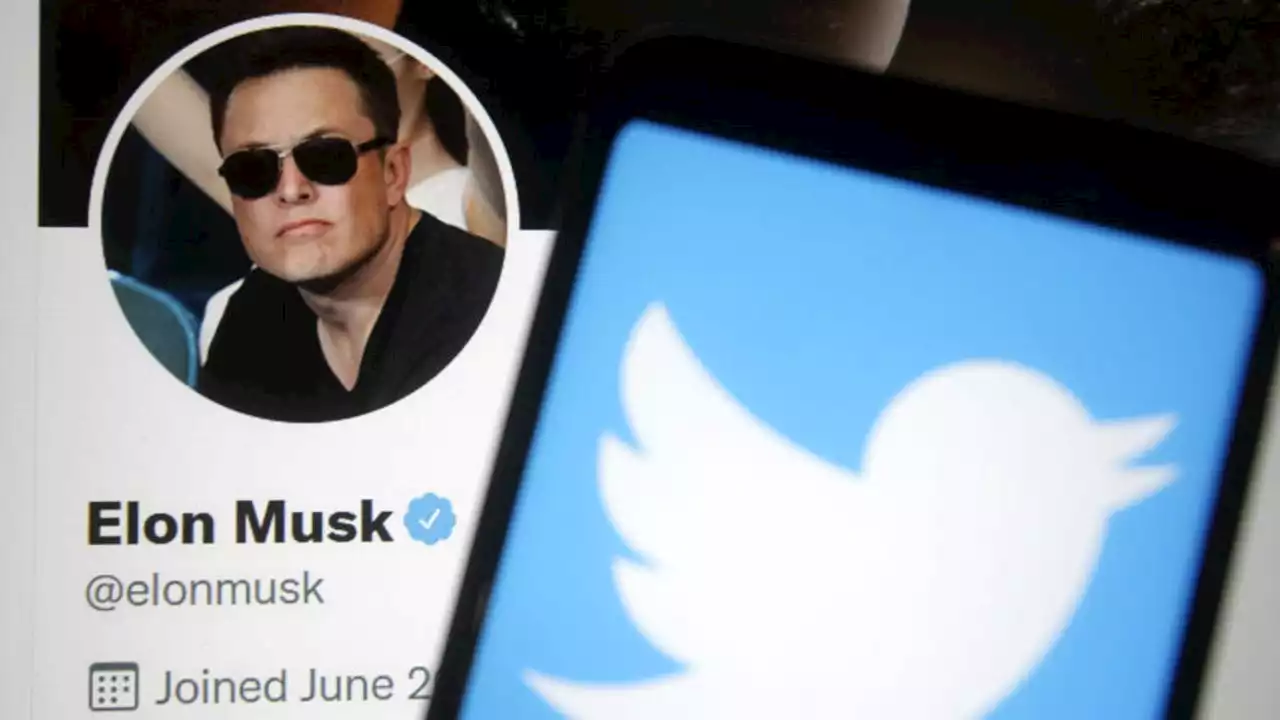 Elon Musk responds: Countersuit accuses Twitter of fraud