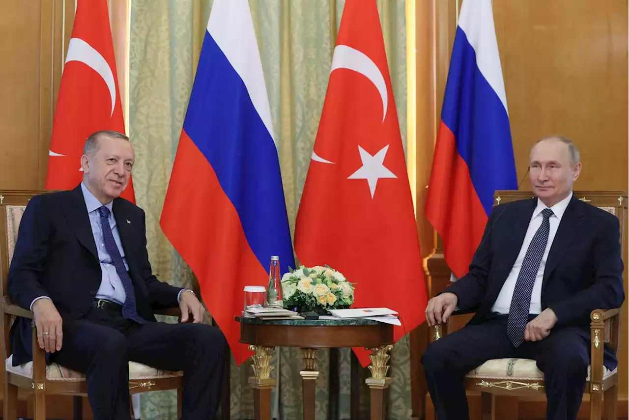 Ukraine, Syria expected to top Erdogan-Putin talks in Russia