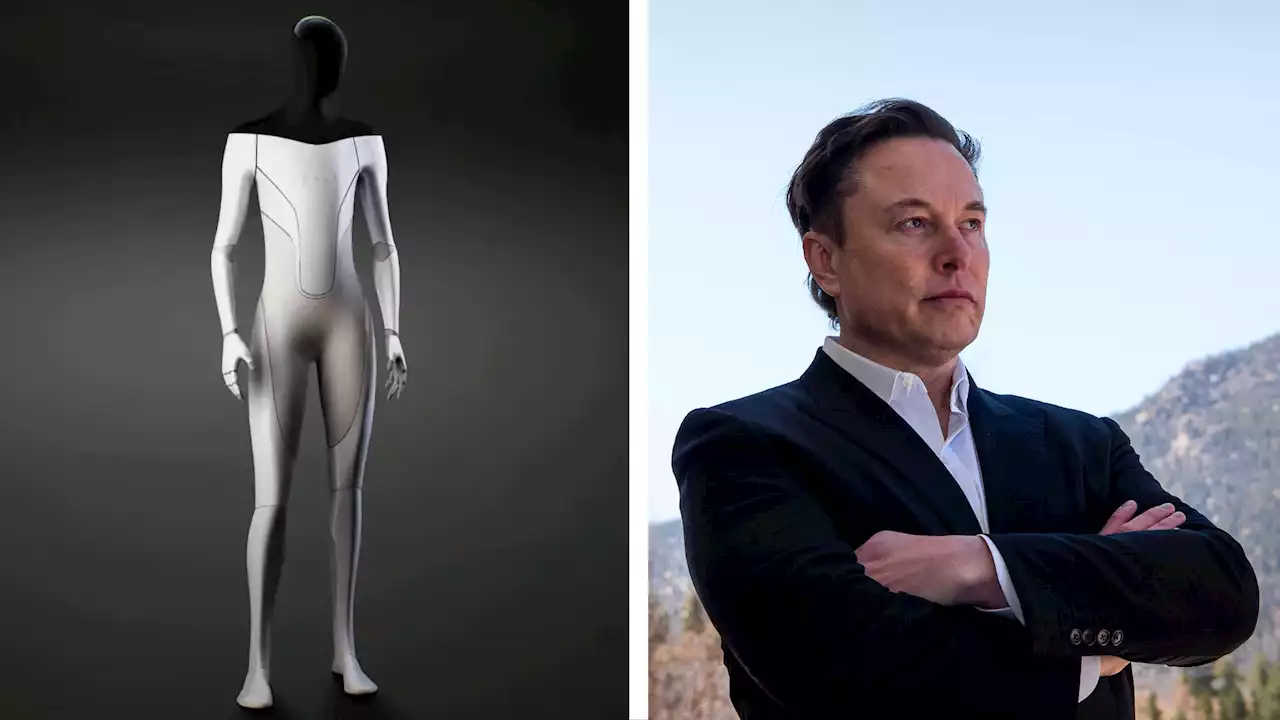 Musk says Tesla is working hard to reveal Optimus humanoid robot in September