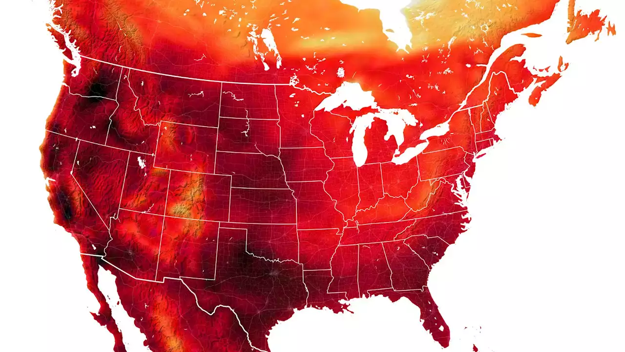 See the blistering heat of July on this map from NASA