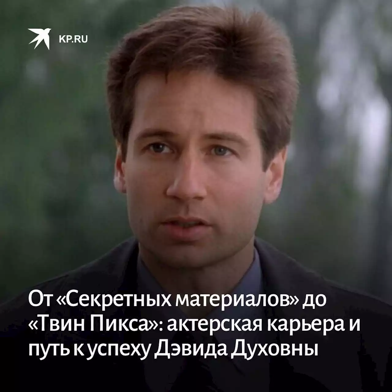 От «Секретных материалов» до «Твин Пикса»: актерская карьера и путь к успеху Дэвида Духовны