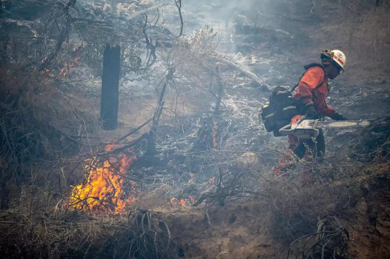 Santa Clarita brush fire stopped at 20 acres