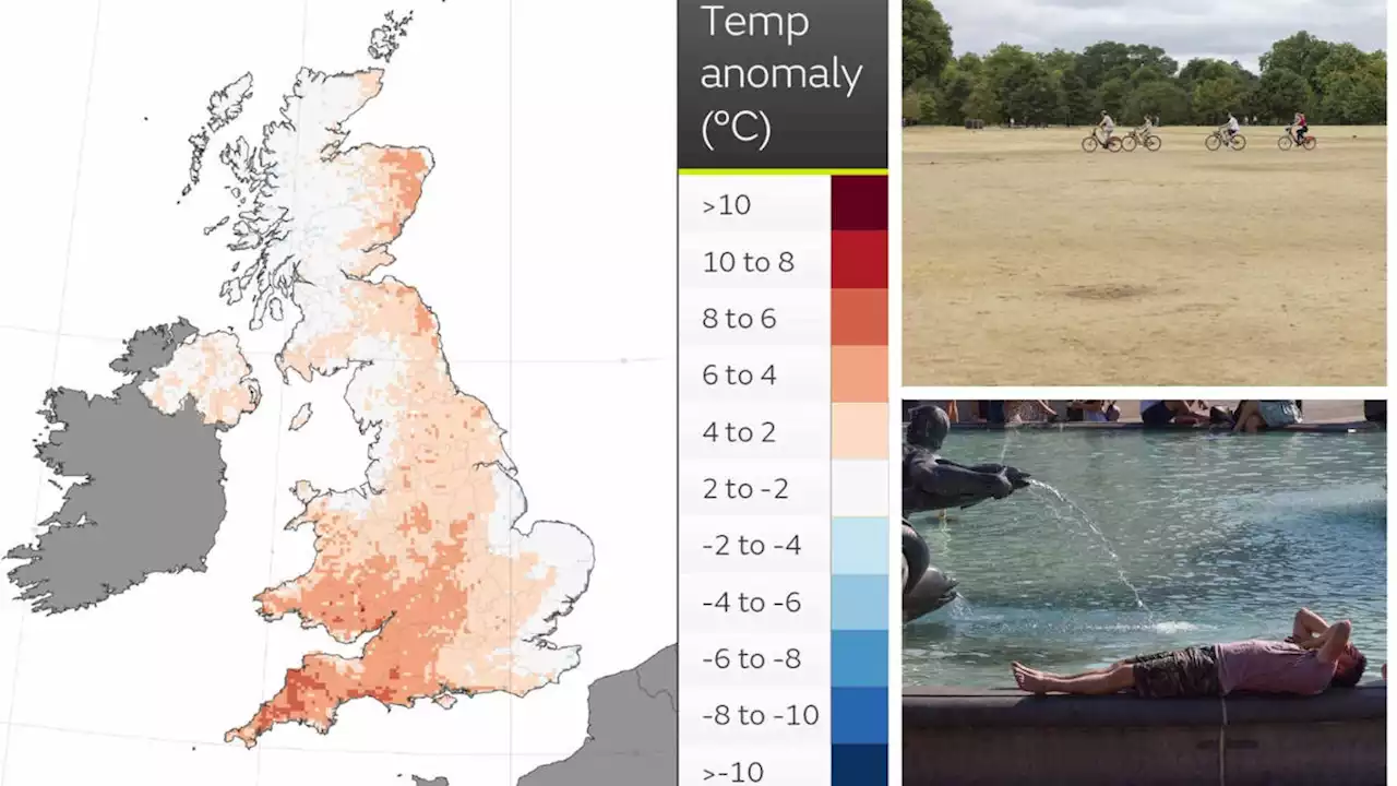 Brace for another heatwave: UK to bake in mid-30C temperatures next week