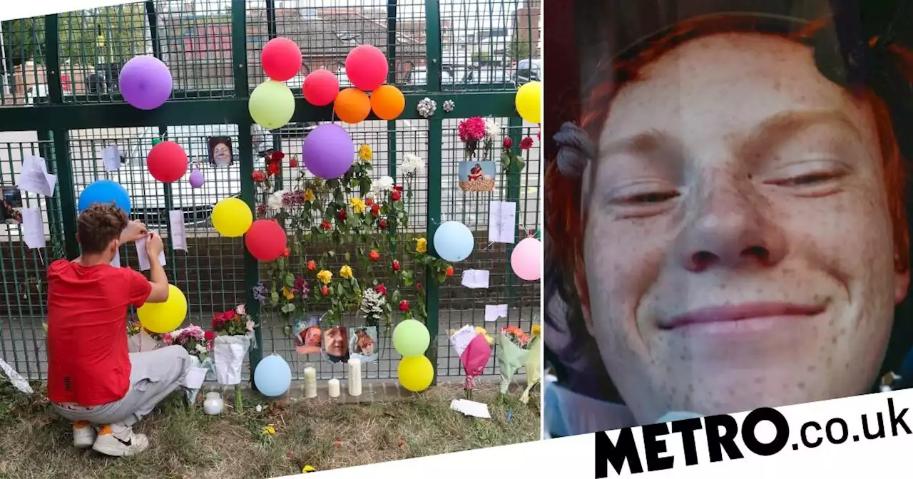 First picture of boy, 14, who 'fell to his death after climbing up funfair ride'