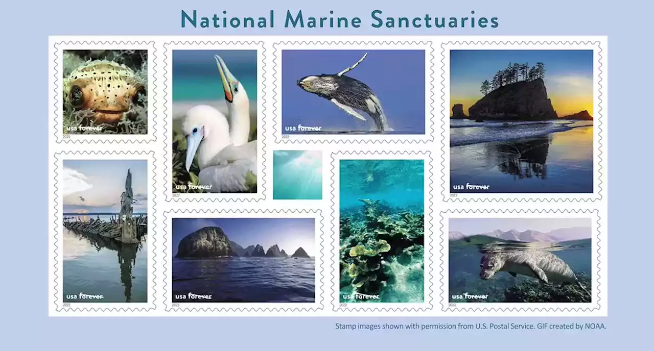 U.S. Postal Service releases stamps featuring NOAA’s National Marine Sanctuaries