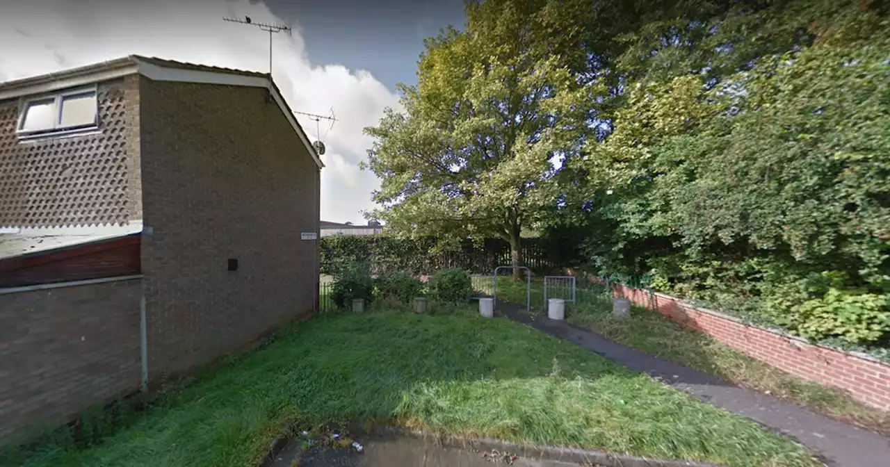 Police hunt for dog owner after child was mauled in Northampton