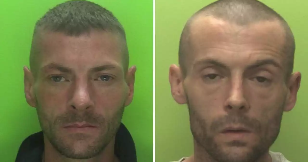 Burglar brothers branded 'prolific offenders' jailed after being caught on CCTV