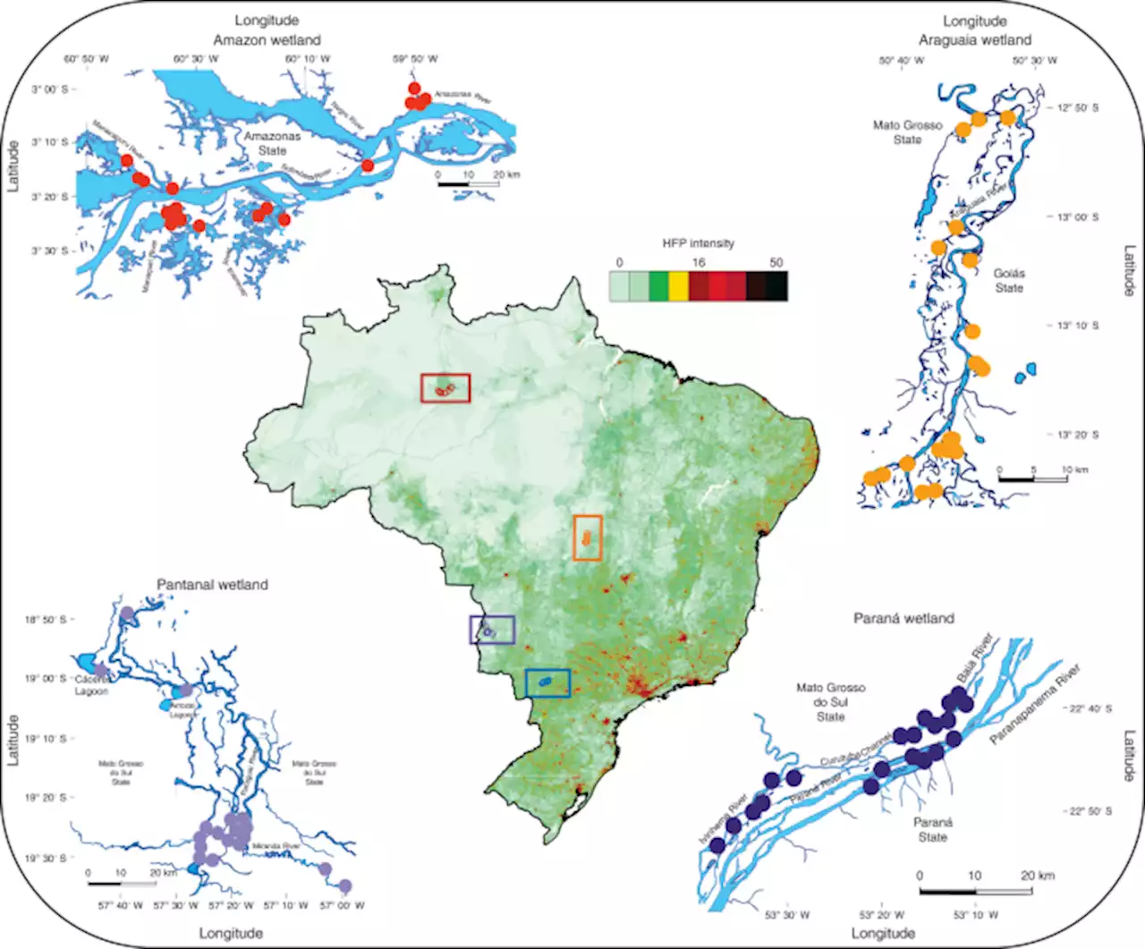 Human pressure drives biodiversity–multifunctionality relationships in large Neotropical wetlands - Nature Ecology & Evolution