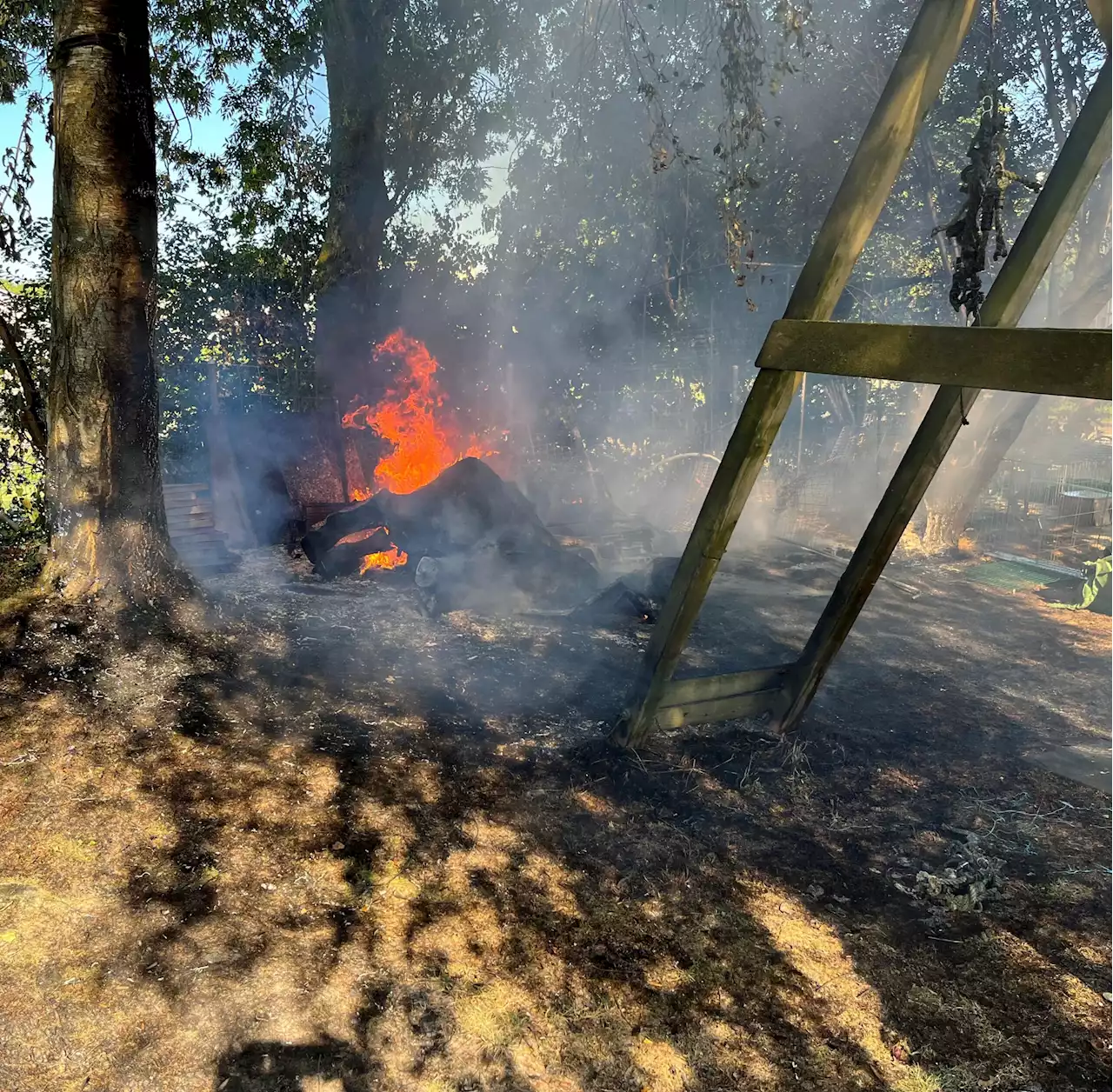 Amriswil TG: Brand in Garten ausgebrochen