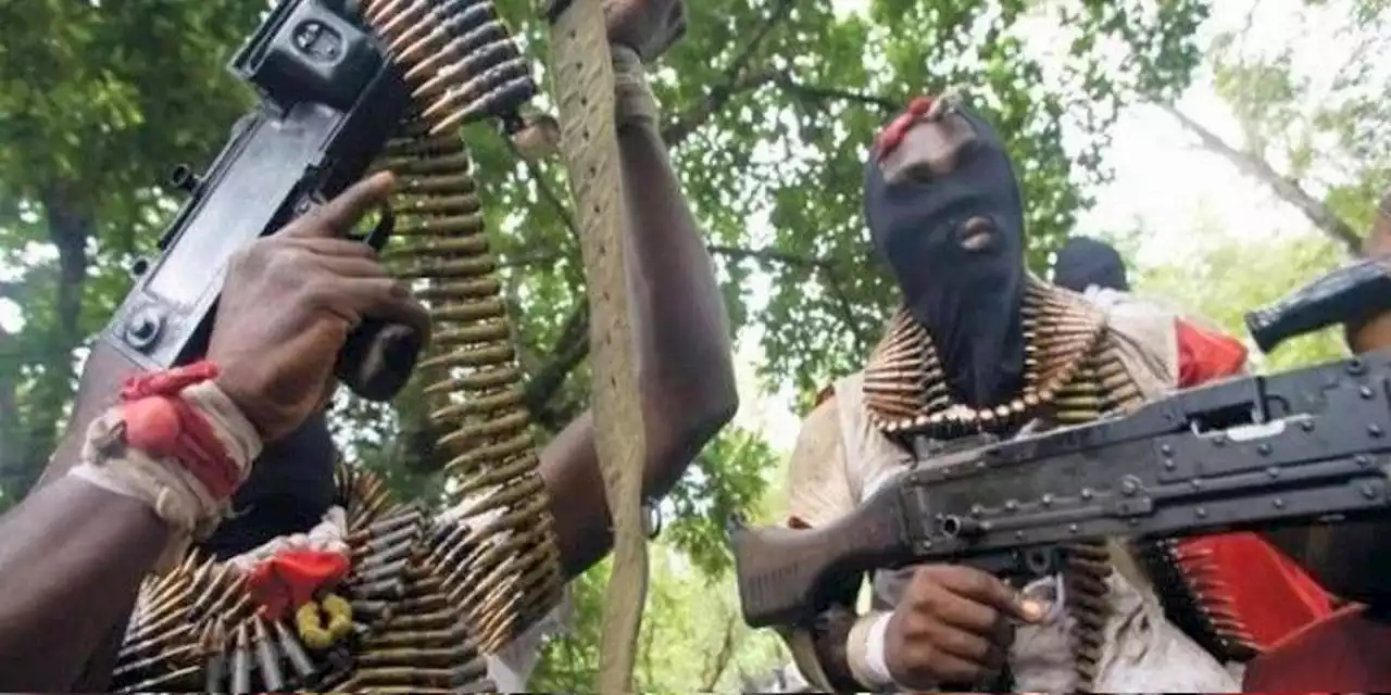 Terrorists Shoot Job-seeking Kidnap Victim Dead After Collecting N1.5Million Ransom In Adamawa | Sahara Reporters