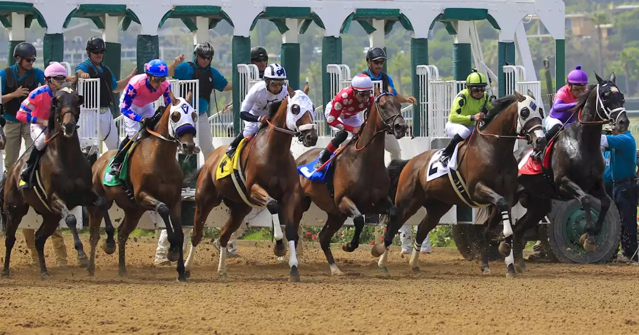 Jeff Nahill's Del Mar opinions for Thursday, Aug. 4