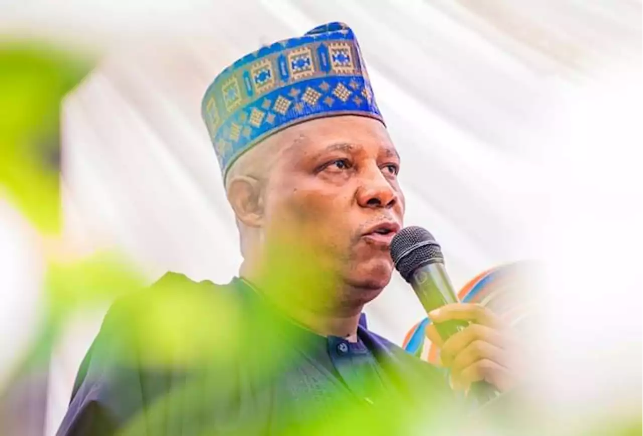 Muslim-Muslim ticket: Nobody countered ACN in 2011... Nigeria's greatness APC's priority, says Shettima | TheCable