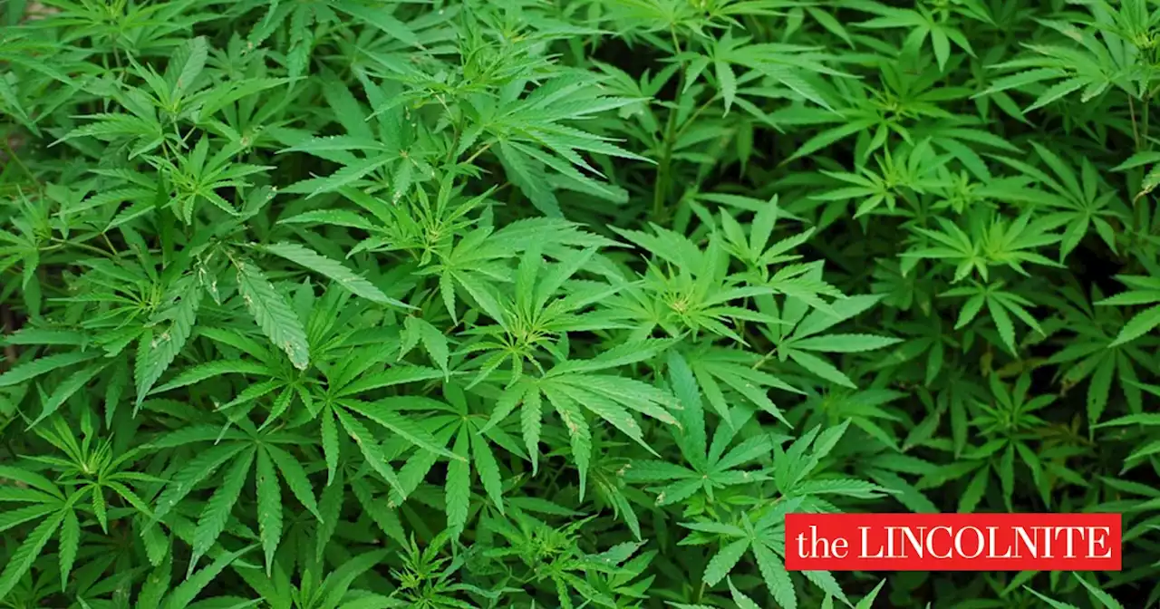 Man charged after cannabis grow uncovered in Scunthorpe